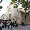 IMGP0193