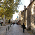 IMGP0196