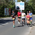 Novomeški polmaraton 2019 (104)