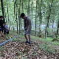 IMG 4770