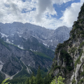 IMG 4781