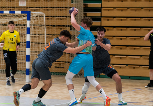 Polfinale dijaki 2026