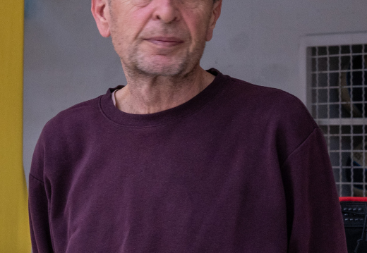 Lan Polanec Mohorčič 11